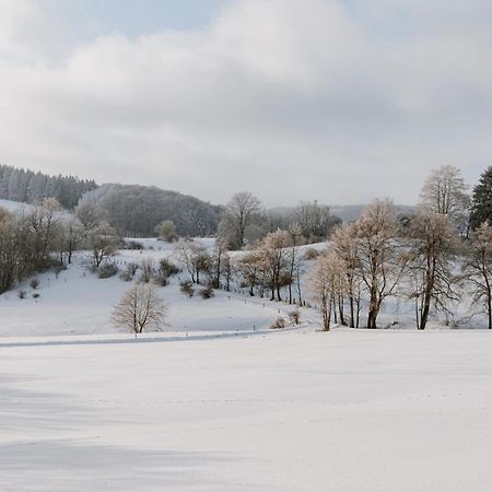Jagdhaus In Der Rhoen In Voelliger Alleinlage Gersfeld Extérieur photo