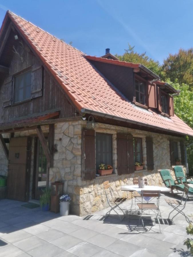 Jagdhaus In Der Rhoen In Voelliger Alleinlage Gersfeld Extérieur photo