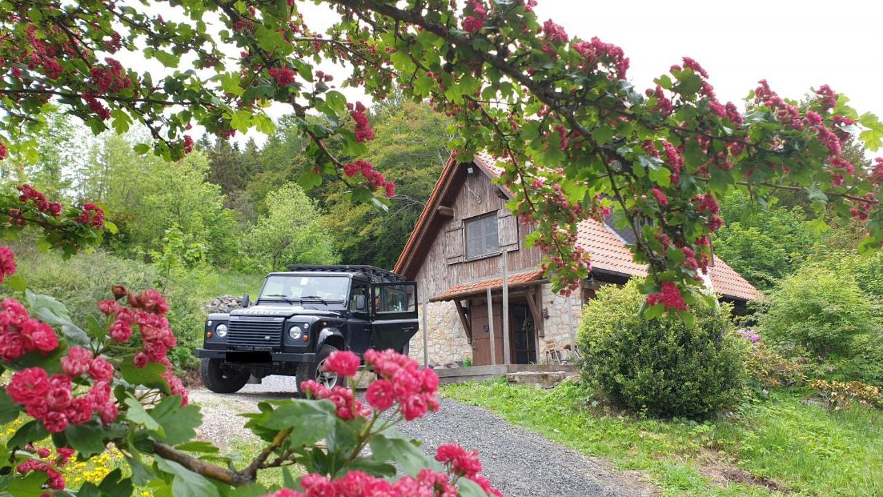 Jagdhaus In Der Rhoen In Voelliger Alleinlage Gersfeld Extérieur photo