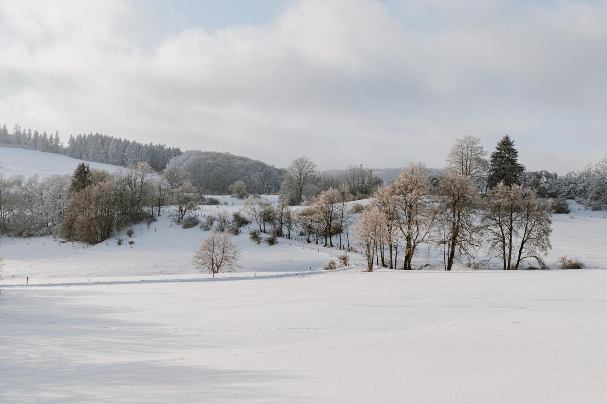 Jagdhaus In Der Rhoen In Voelliger Alleinlage Gersfeld Extérieur photo